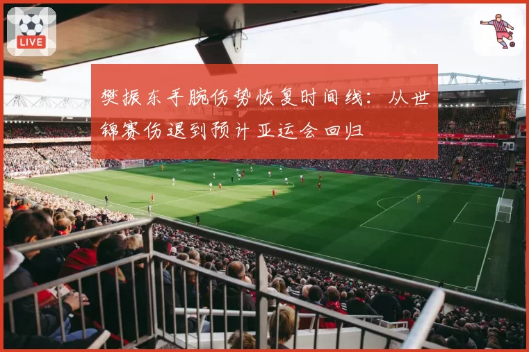 樊振东手腕伤势恢复时间线：从世锦赛伤退到预计亚运会回归