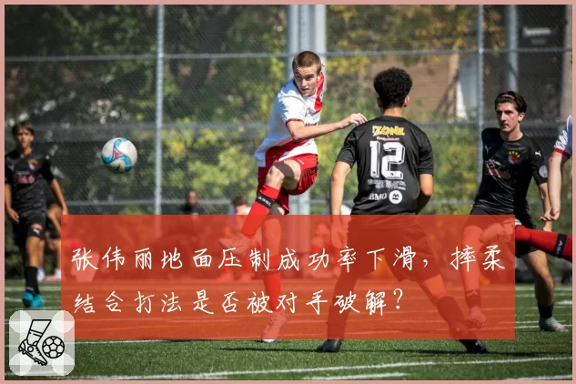 张伟丽地面压制成功率下滑，摔柔结合打法是否被对手破解？
