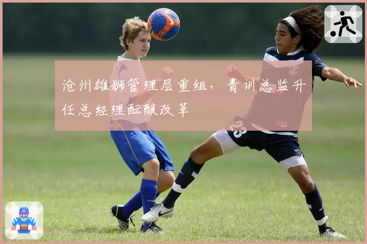 沧州雄狮管理层重组，青训总监升任总经理酝酿改革