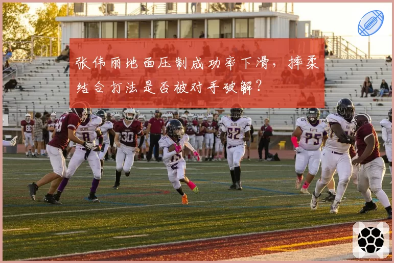 张伟丽地面压制成功率下滑,摔柔结合打法是否被对手破解?
