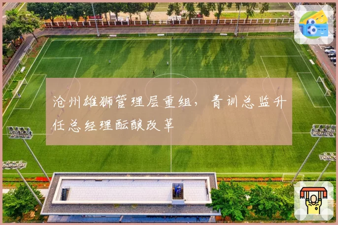 沧州雄狮管理层重组，青训总监升任总经理酝酿改革
