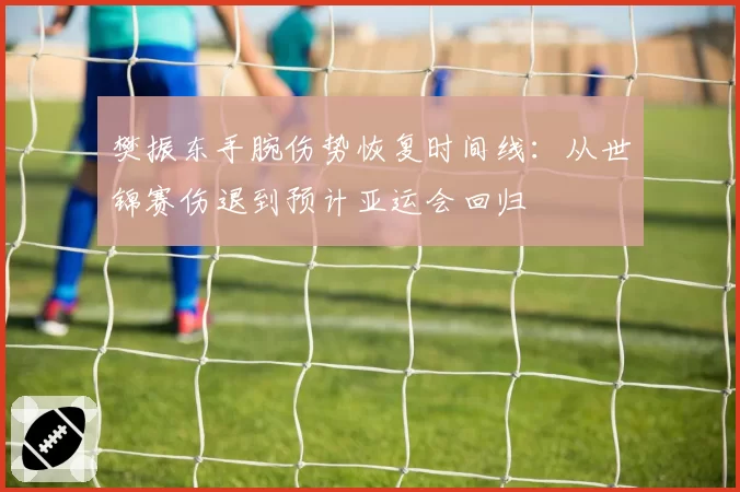 樊振东手腕伤势恢复时间线：从世锦赛伤退到预计亚运会回归